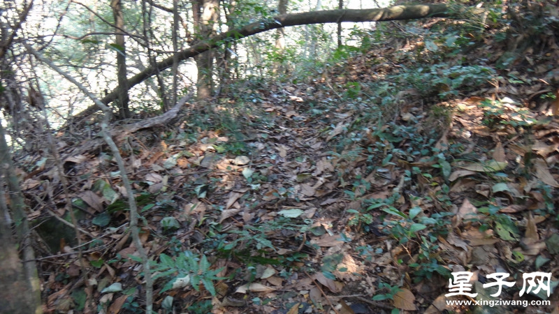 DSC06589.jpg