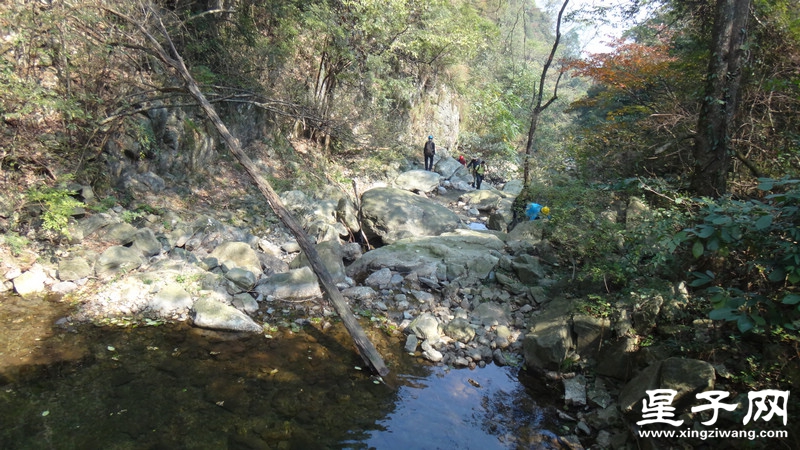 DSC06653.jpg