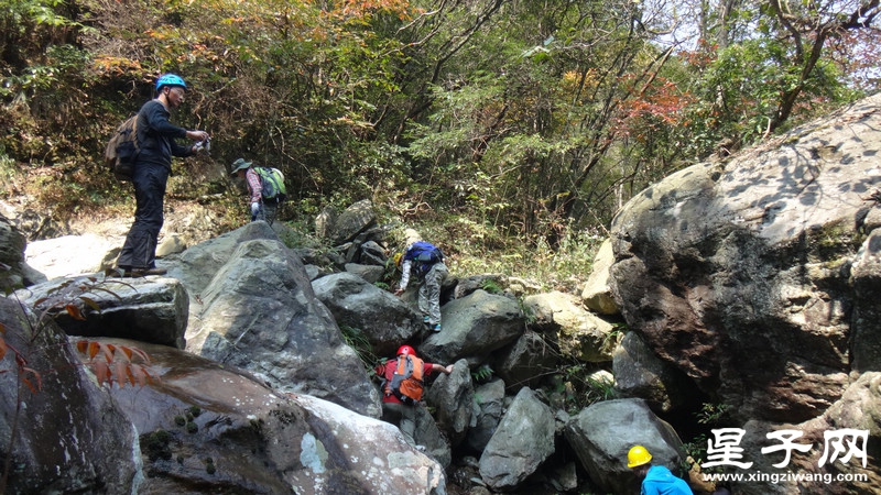 DSC06685.jpg