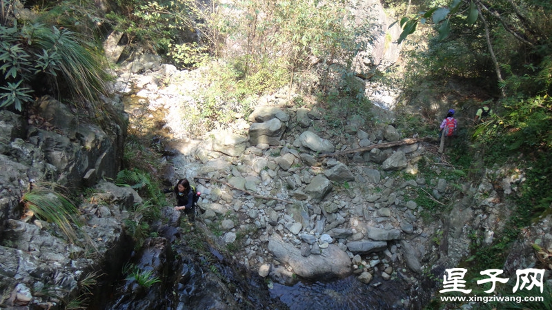 DSC06712.jpg