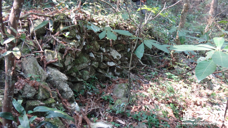 DSC06740.jpg
