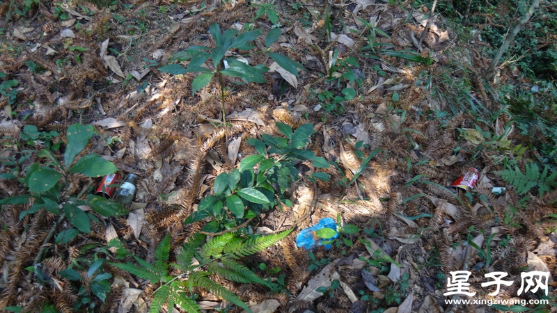 DSC06741.jpg