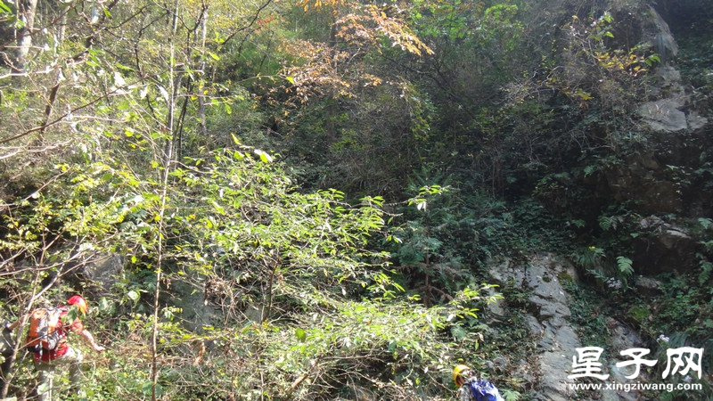 DSC06800.jpg