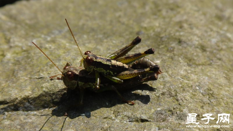 DSC06809.jpg