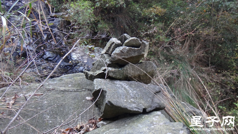 DSC06935.jpg