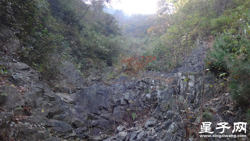 DSC06954.jpg