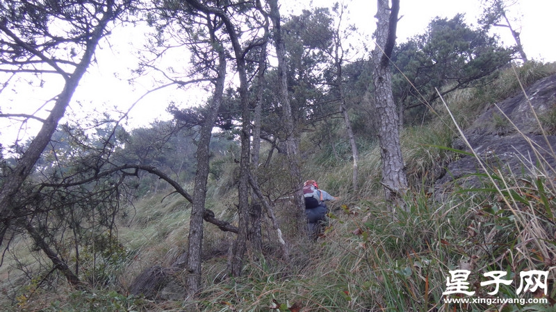 DSC06984.jpg