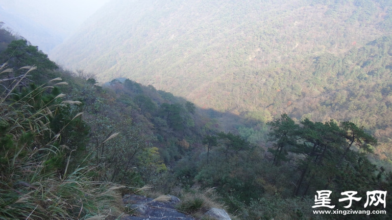 DSC06988.jpg