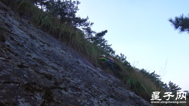 DSC07003.jpg