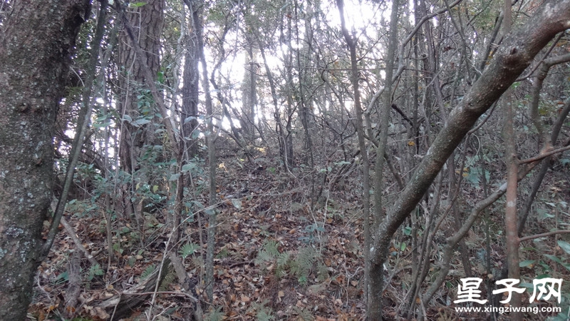 DSC07010.jpg