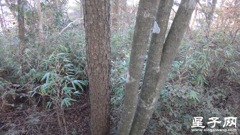 DSC07013.jpg