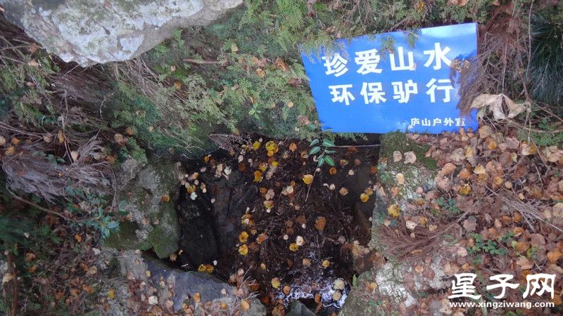 DSC07037.jpg
