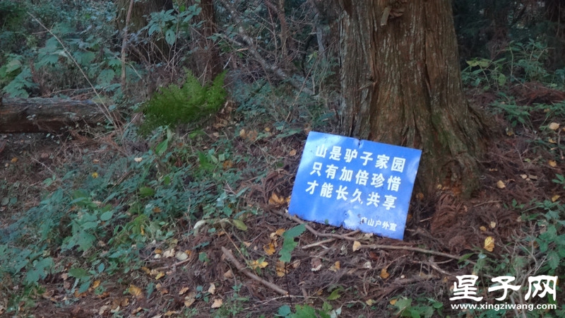 DSC07038.jpg