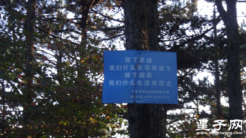 DSC07090.jpg