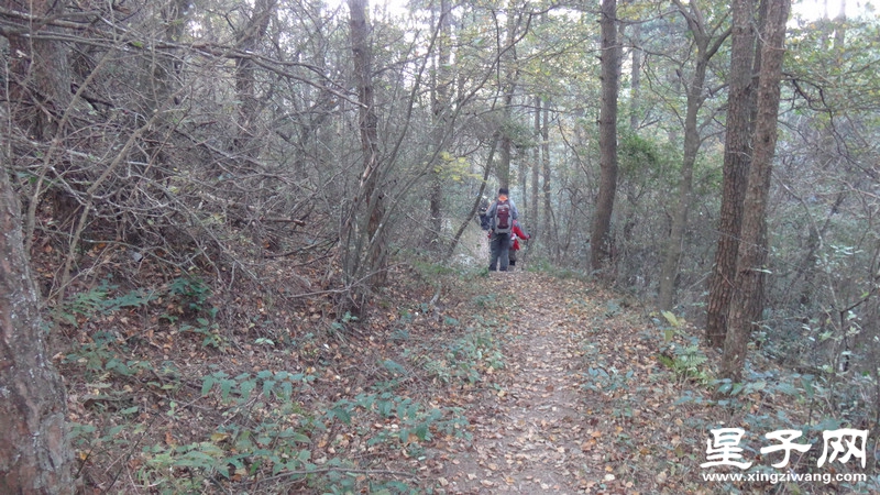 DSC07093.jpg