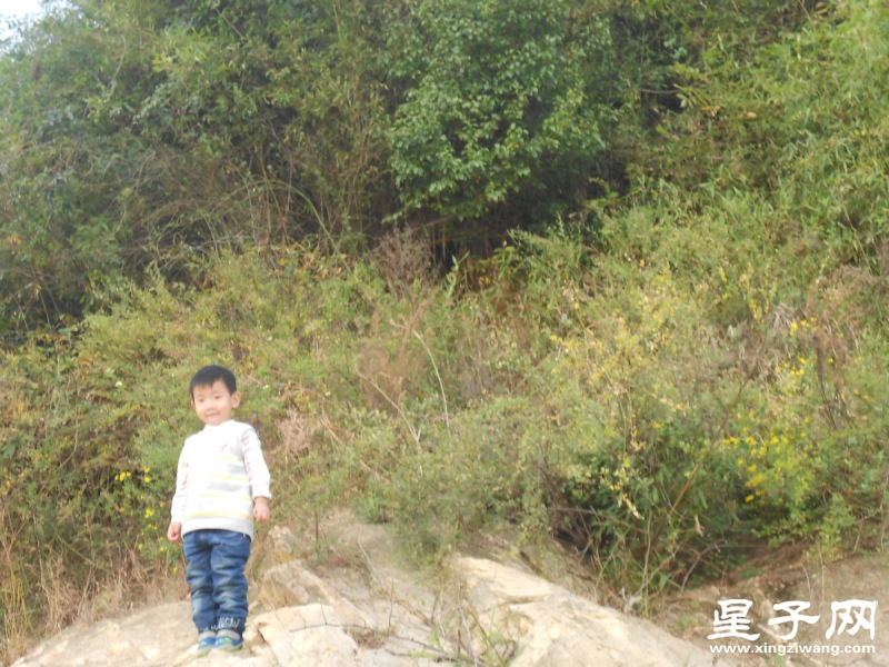 照片 208.jpg