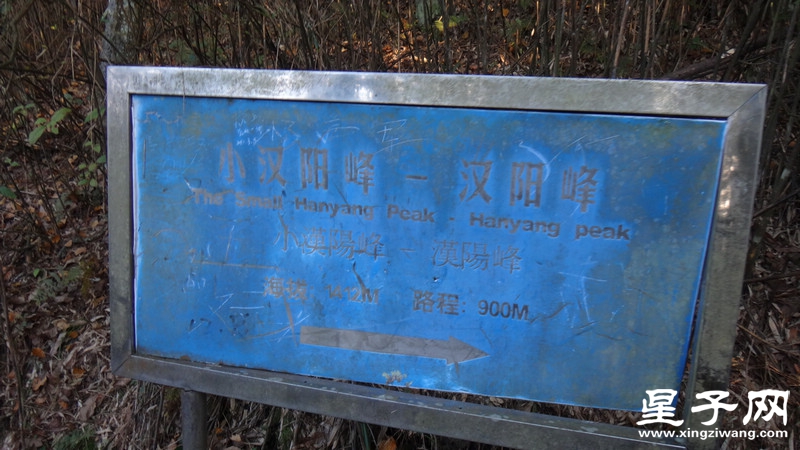 DSC07096.jpg