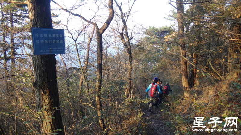 DSC07097.jpg