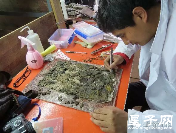 15_结果.jpg