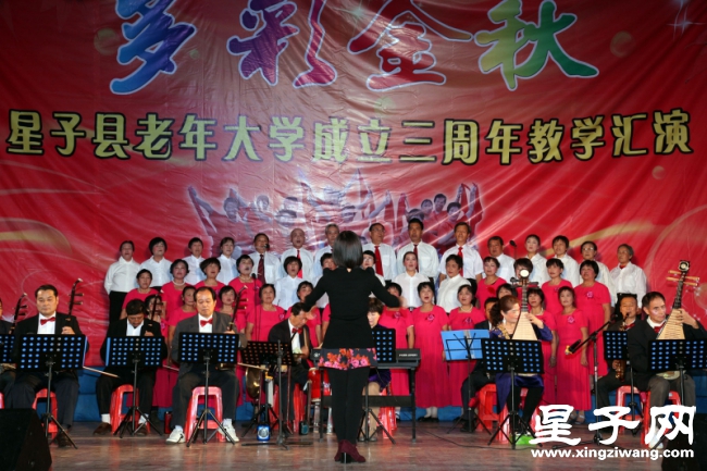 202147b51gj7wu01jzj9g6.jpg.thumb.jpg