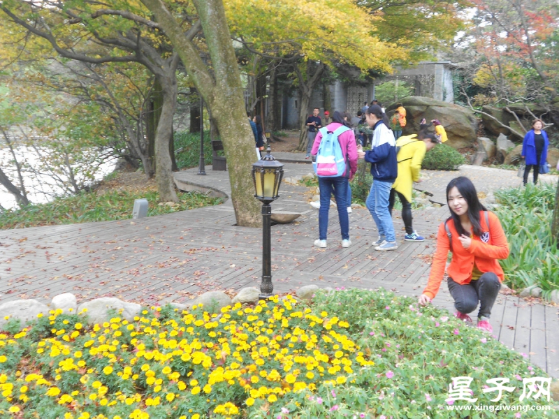 照片 434.jpg