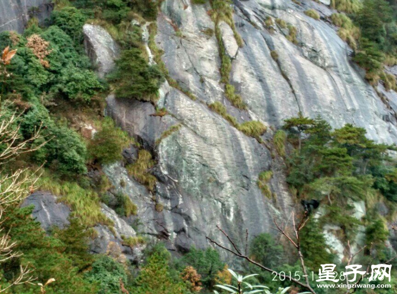 QQ图片20151128181525.jpg