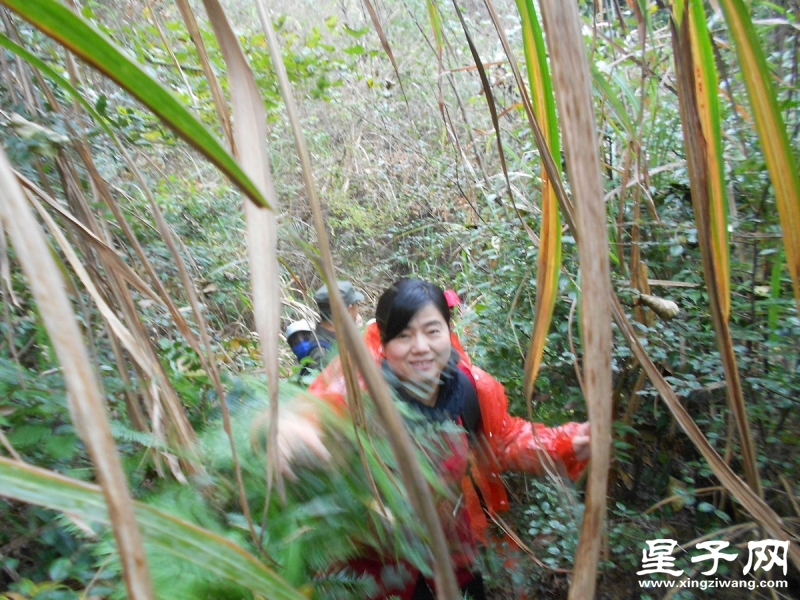 照片 050.jpg