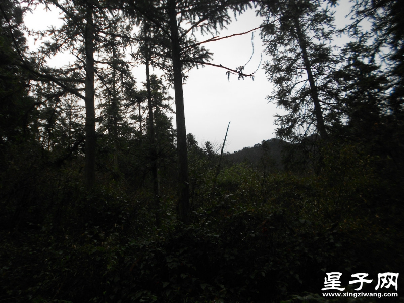 照片 183.jpg