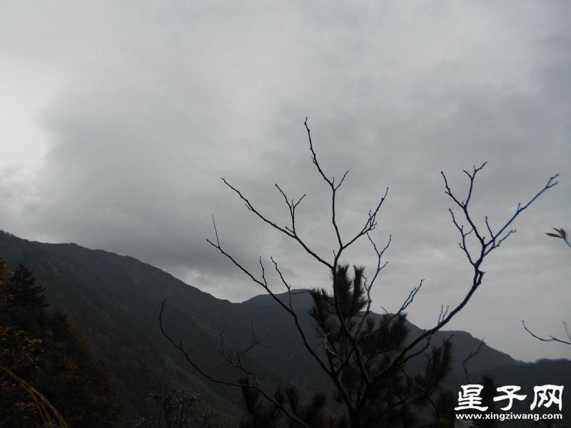照片 208.jpg