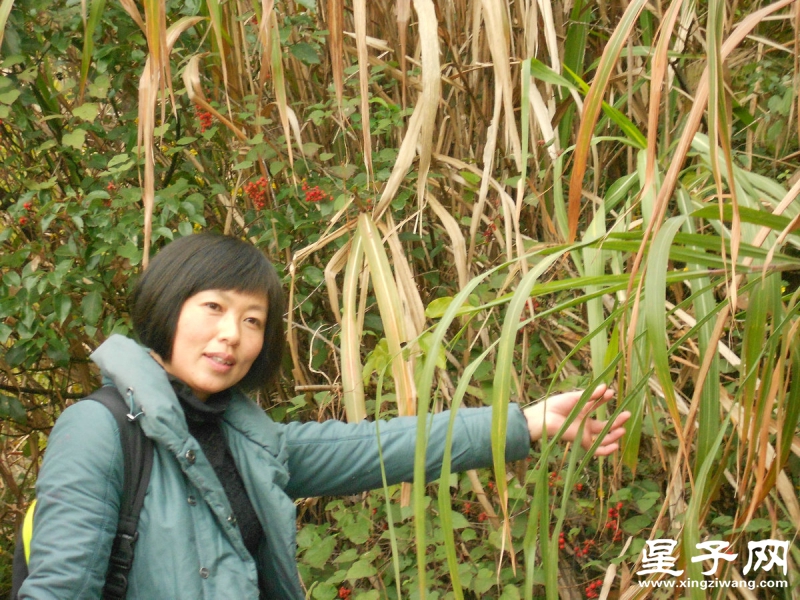 照片 091.jpg