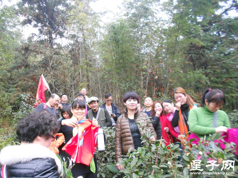 照片 155.jpg