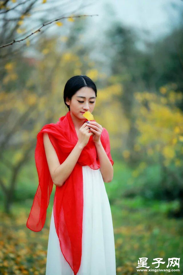 舞红叶1.jpg