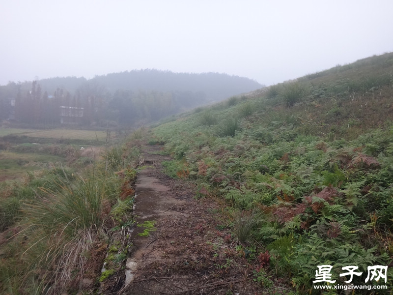 DSC08897.jpg