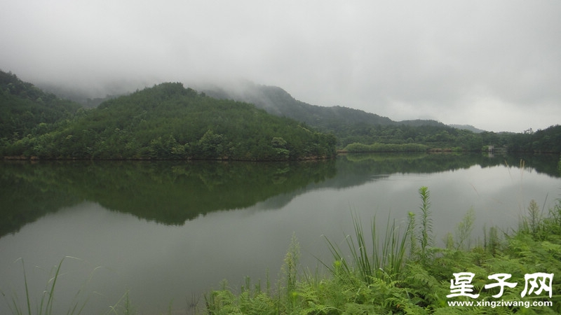 DSC01165.jpg