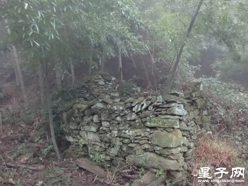 DSC08958.jpg