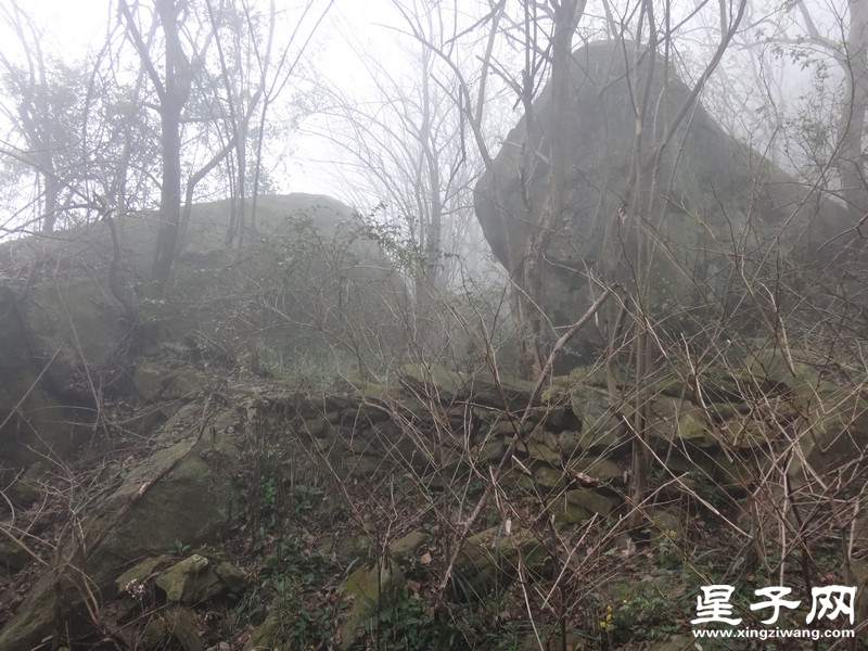 DSC08975.jpg