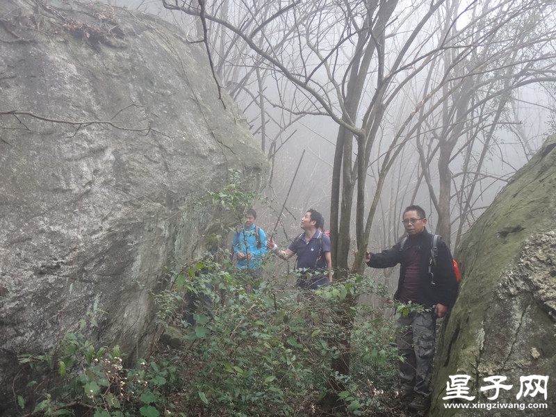DSC08980.jpg