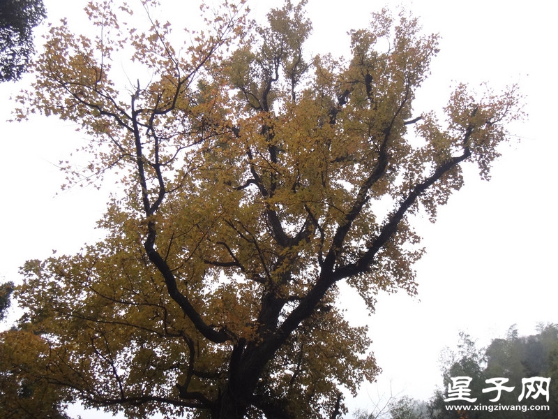 DSC09178.jpg