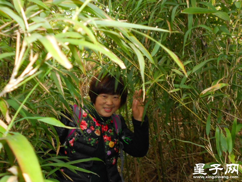 照片 161.jpg