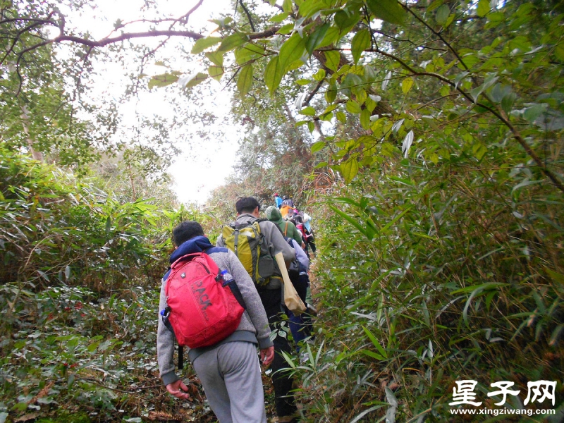 照片 300.jpg
