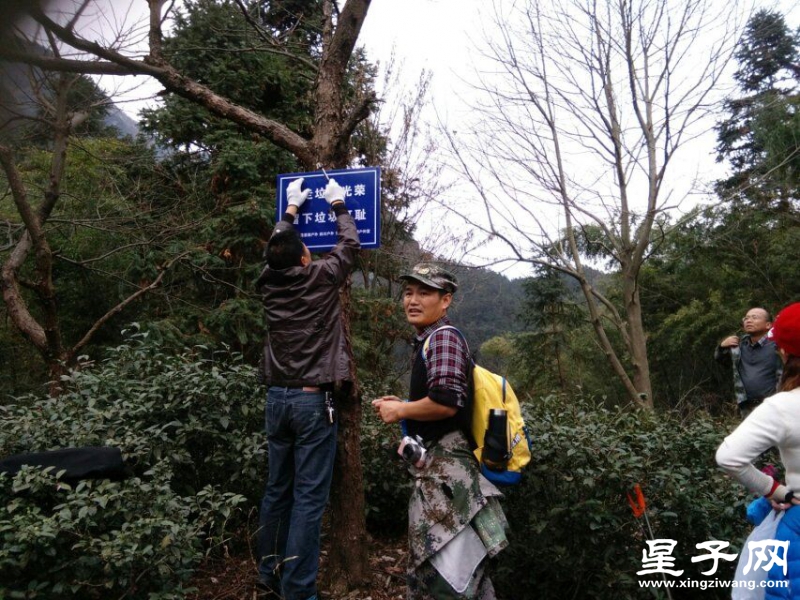 QQ图片20160110170810.jpg
