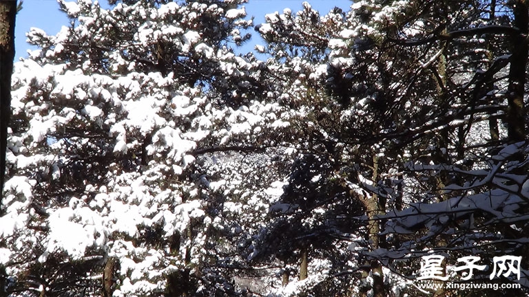 庐山雪12.jpg
