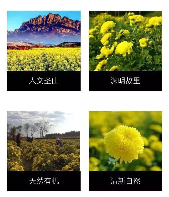 3_结果.jpg