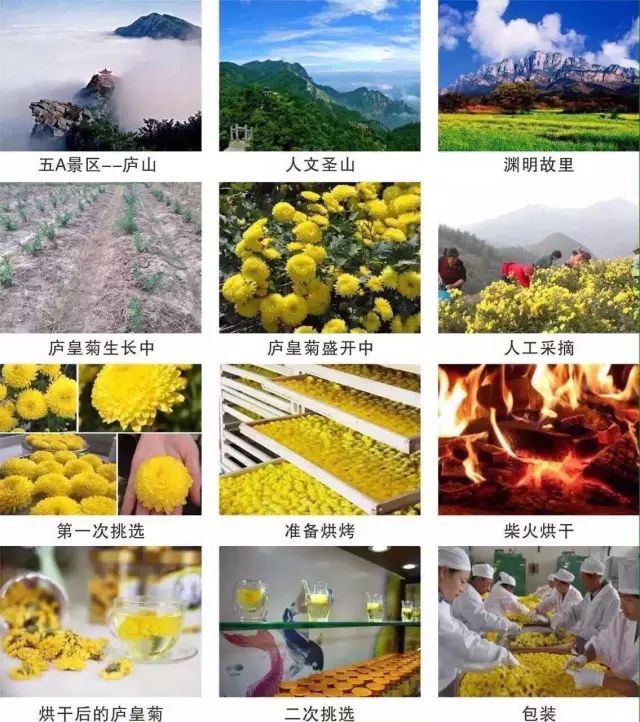 4_结果.jpg