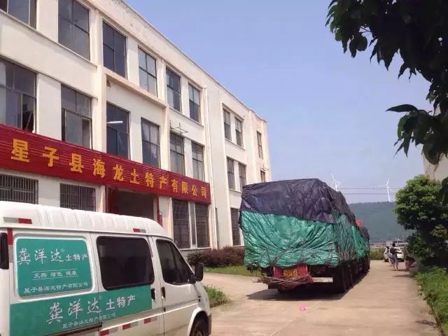 29_结果.jpg