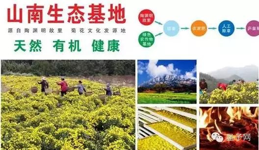 4_结果.jpg