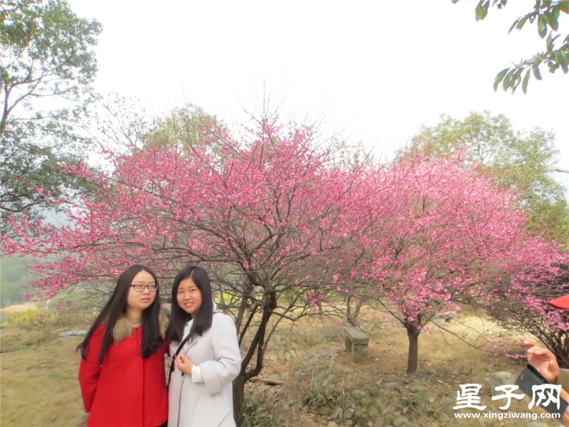 IMG_0972_副本.jpg