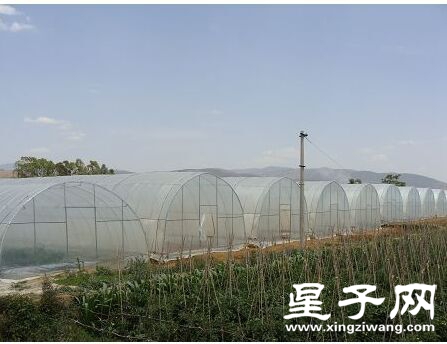 QQ图片20160222110623.jpg