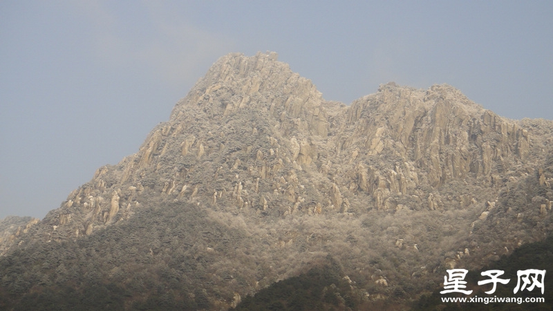 DSC07382.jpg