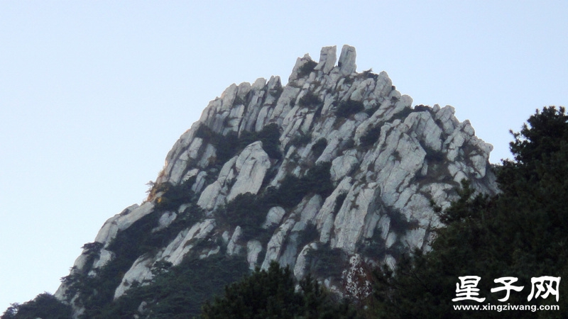 DSC06555.jpg